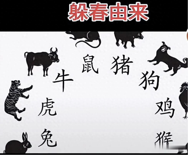 立春打一个生肖，立春打一个生肖最佳答案