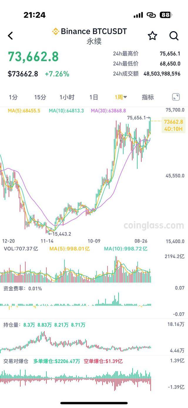 比特币价格走势图，2024年比特币价格走势图