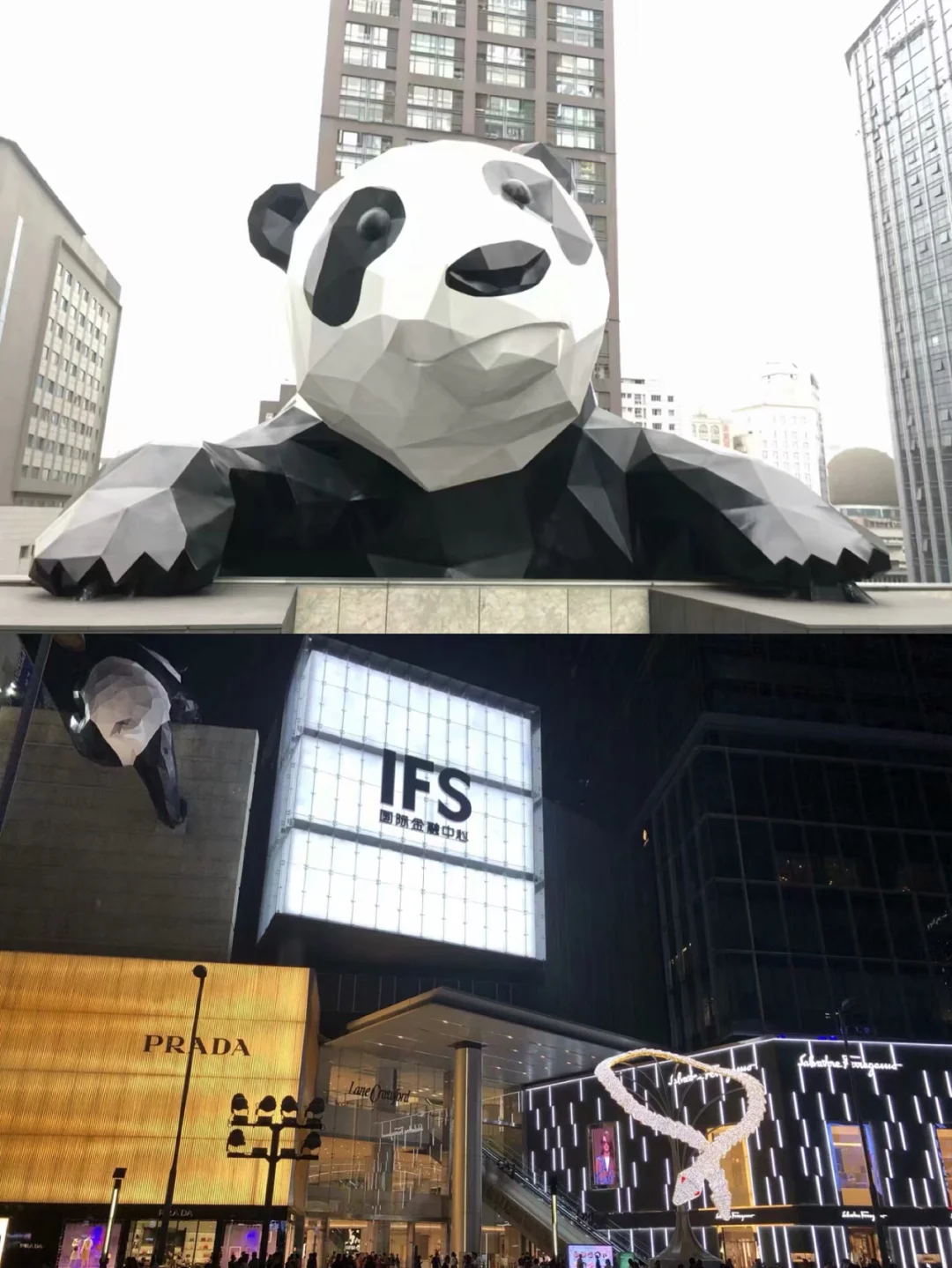 两元机场梯子官网，赔钱机场加速器官网