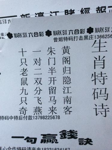 今期六字出玄机解生肖或数字，今期六字出玄机,特数出此不为奇是什么生肖