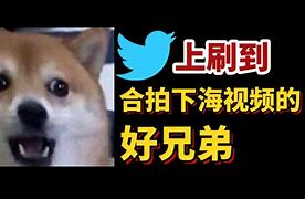包含小蓝鸟梯子使用教程的词条