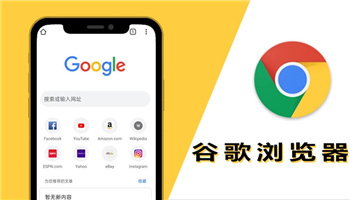 谷歌浏览器app下载2024，谷歌浏览器app下载安装安卓免费
