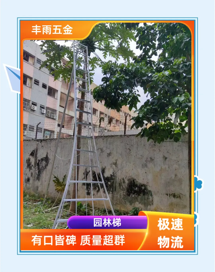 手机梯子有什么用，手机使用梯子安全吗