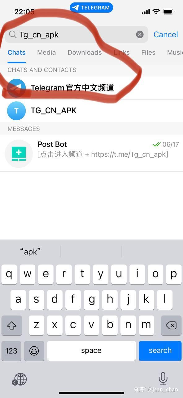telegeram网页版，纸飞机telegeram网页入口