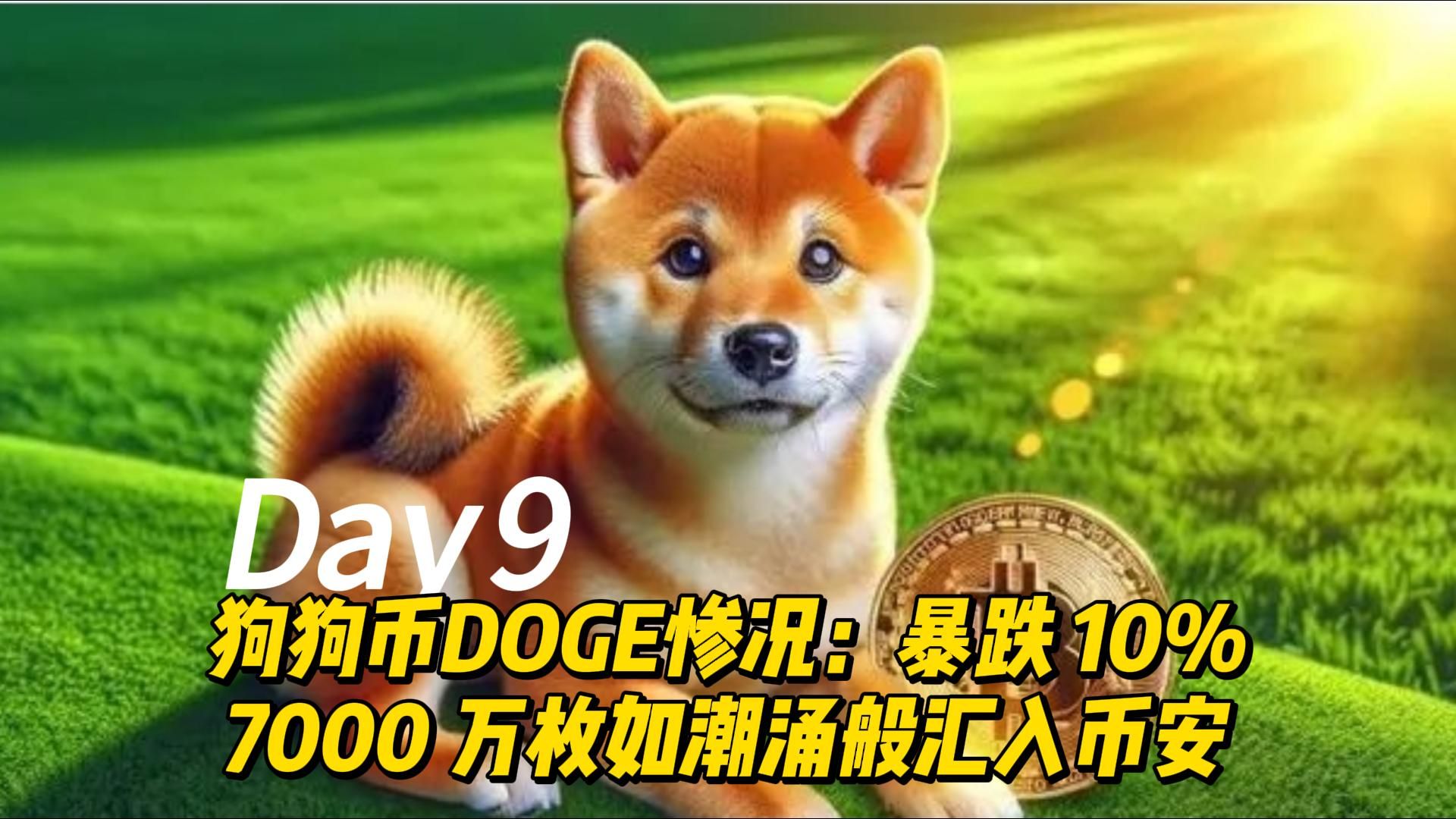 狗狗币到现在涨了多少倍，狗狗币2021年能涨到10元吗