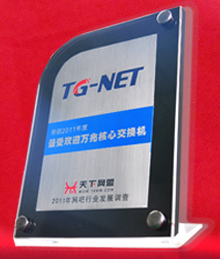 包含Tg显示发送到其他设备上的词条