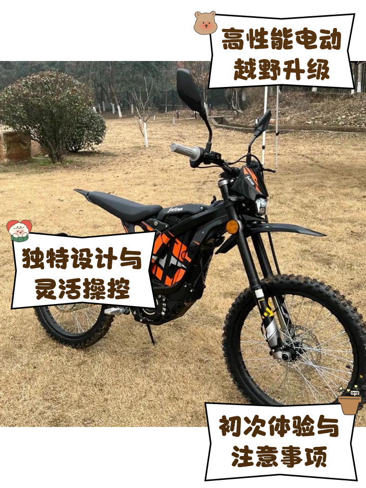轻蜂加速器，轻蜂加速器可以上twitter吗
