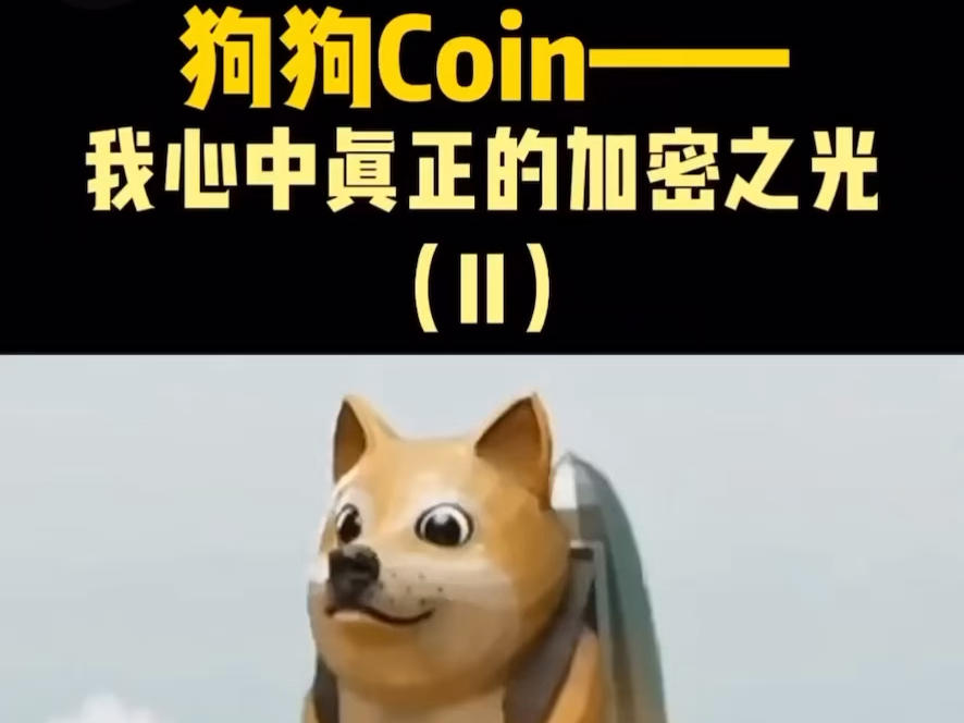 狗狗币值得长期持有吗，狗狗币值得长期持有吗为什么