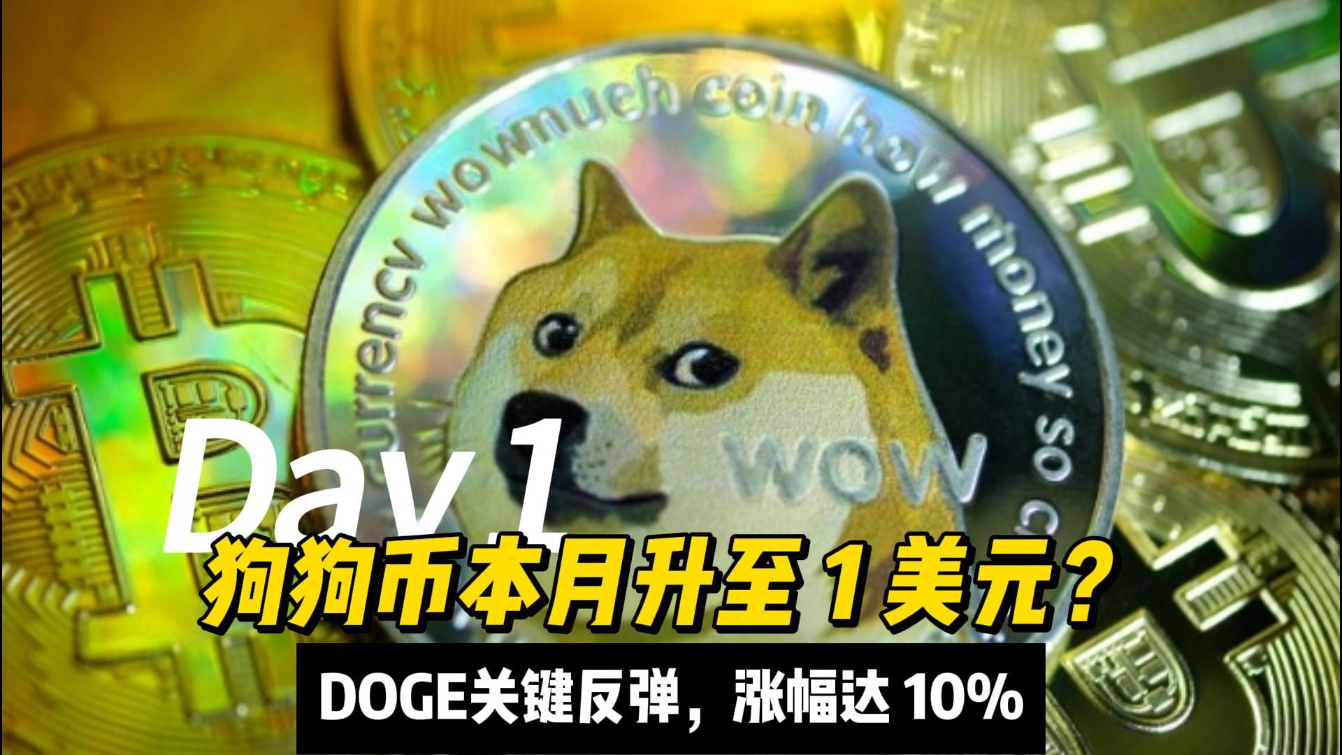 狗狗币交易今日价格，狗狗币doge今日价格