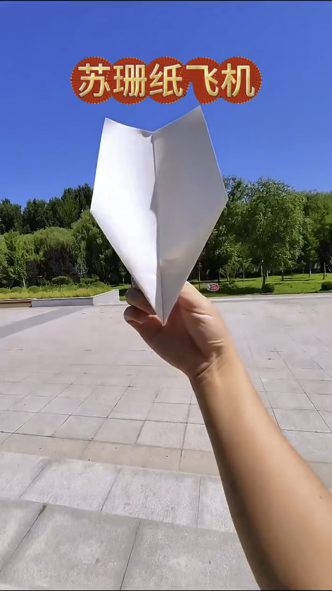 纸板飞机下载安装手机版，纸板飞机手工制作大全做法图纸