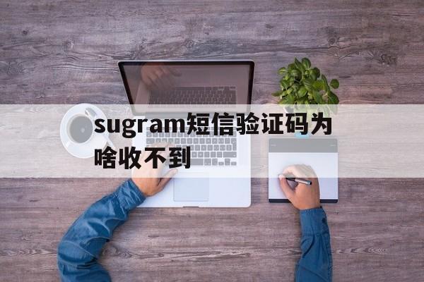 sugram短信验证码为啥收不到的简单介绍
