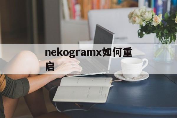 详细阅读:nekogramx如何重启-iphone12如何强制重启 nekogramx如何重启-iphone12如何强制重启