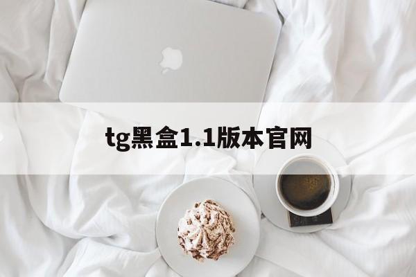 tg黑盒1.1版本官网，telegeram官网入口
